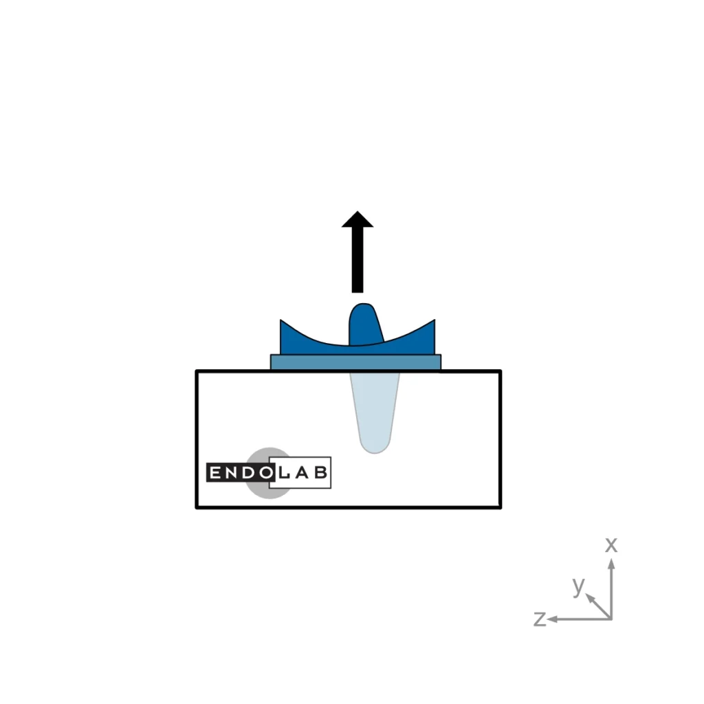 Schematic of a test according to ASTM F1814 in loading direction inferior superior pull-off