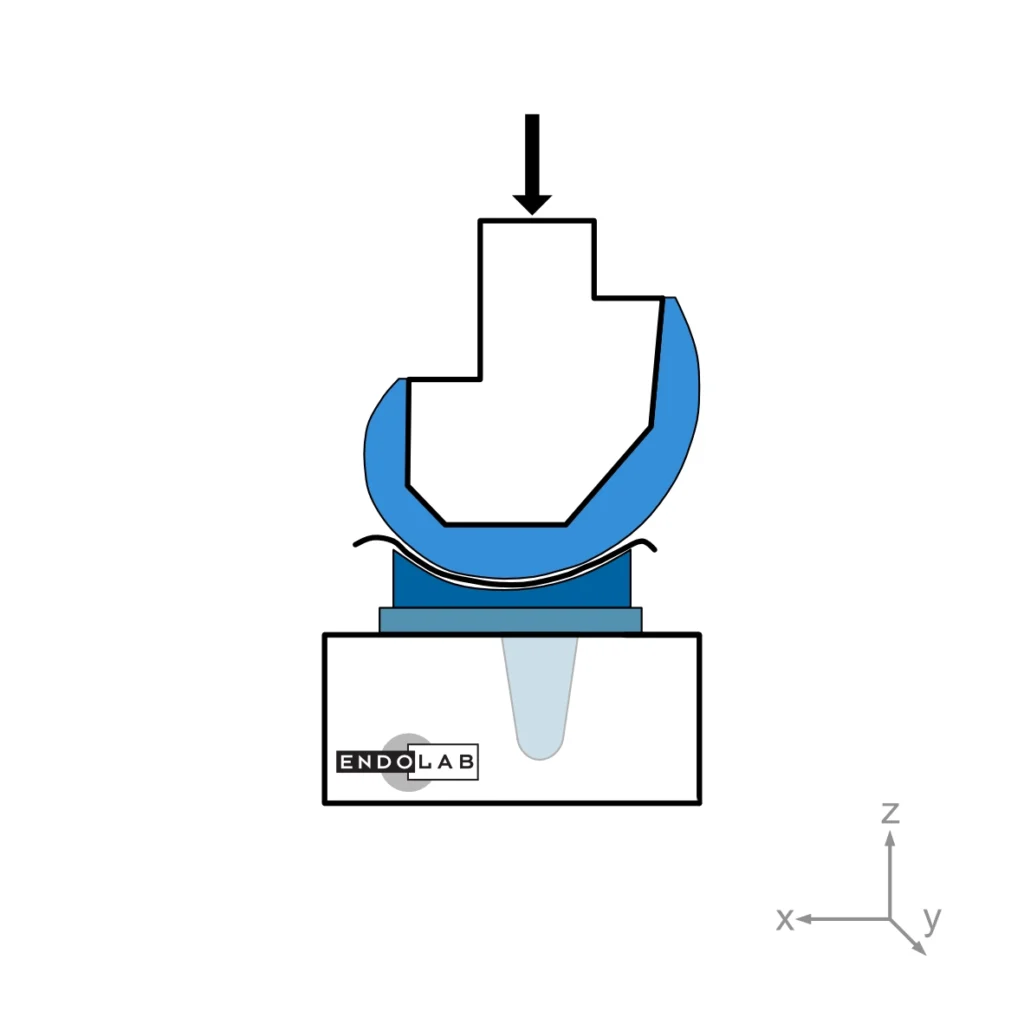 Schematic of a test according to EndoLab's PI-17